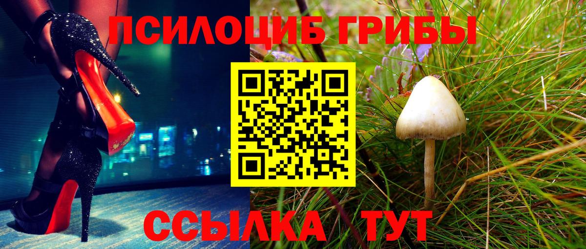 Фролово  Галлюциногенные грибы прущие грибы  Вход с VPN 