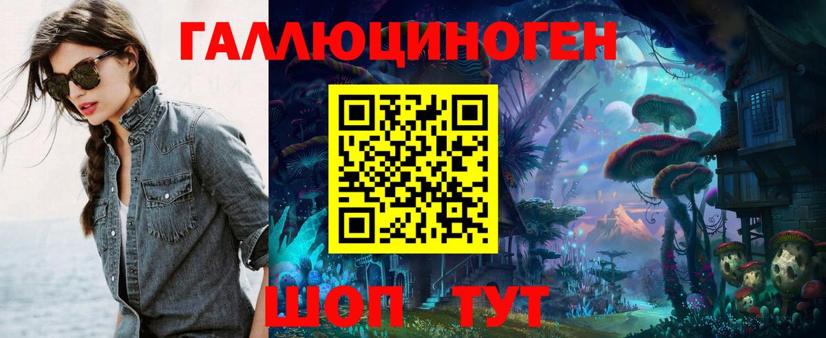 Галлюциногенные грибы Psilocybe Фролово